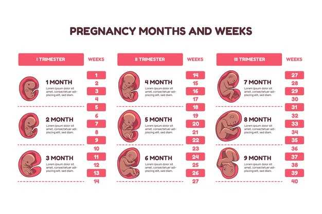 Физические изменения на 7 месяце беременности в неделях