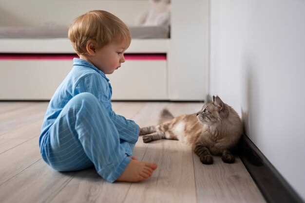 Аллергия на эпителий кошки у ребенка: причины и симптомы