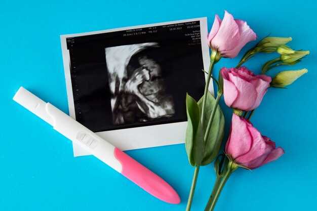 Первое сердцебиение – важный шаг в развитии эмбриона